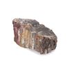 Image 5 : 62lbs Tri-Color Petrified Wood Mineral Sample