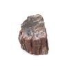 Image 8 : 62lbs Tri-Color Petrified Wood Mineral Sample