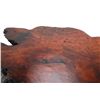Image 34 : Live Edge Burl Dining Table w/ Butterfly Inlays