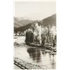 Image 14 : F. J. Haynes Original Yellowstone Photos (3)