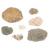 Image 12 : Pre Columbian Projectile Point Scraper Collection
