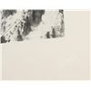 Image 8 : F. J. Haynes Original Yellowstone Photos (2)