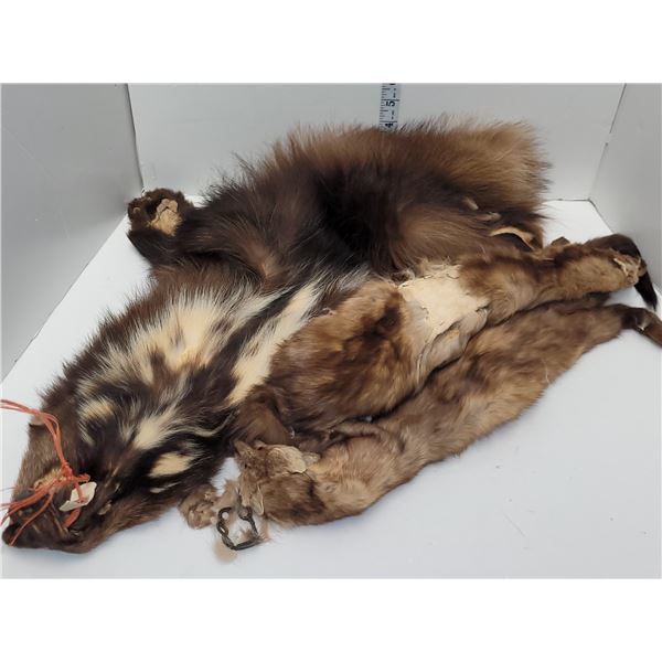 2 Mink And Wolverine Hides