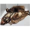 Image 1 : 2 Mink And Wolverine Hides