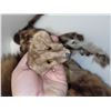 Image 2 : 2 Mink And Wolverine Hides