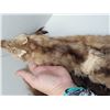 Image 3 : 2 Mink And Wolverine Hides
