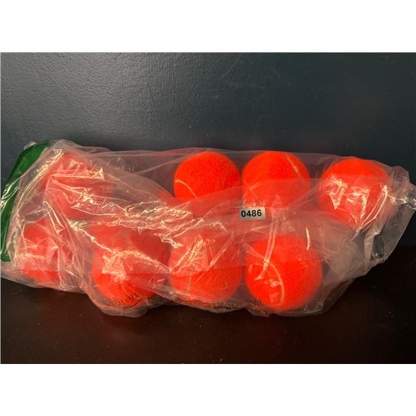 1 Bag of 12 Tennis Balls