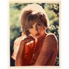 Image 1 : Stella Stevens signed photo