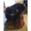 Image 2 : Buffalo Head - Mounted