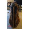 Image 3 : Buffalo Head - Mounted