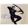 Image 1 : The Avengers Jeremy Renner signed photo