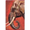Image 1 : Group of 7 Signed Dresden Jungle Animal Postcards