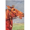 Image 2 : 4 Signed Dresden Animal Horse Postcards