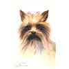 Image 2 : Group of 6 Norfini Signed Artist Dog Animal Postcards