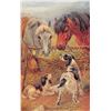 Image 2 : Set of 6 Drummon Tuck Horses Faithful Friends Series Postcards