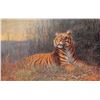 Image 2 : Set of 6 "Wild Animals" Tuck Oilette Big Cat Postcards