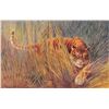 Image 3 : Set of 6 "Wild Animals" Tuck Oilette Big Cat Postcards