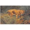 Image 4 : Set of 6 "Wild Animals" Tuck Oilette Big Cat Postcards