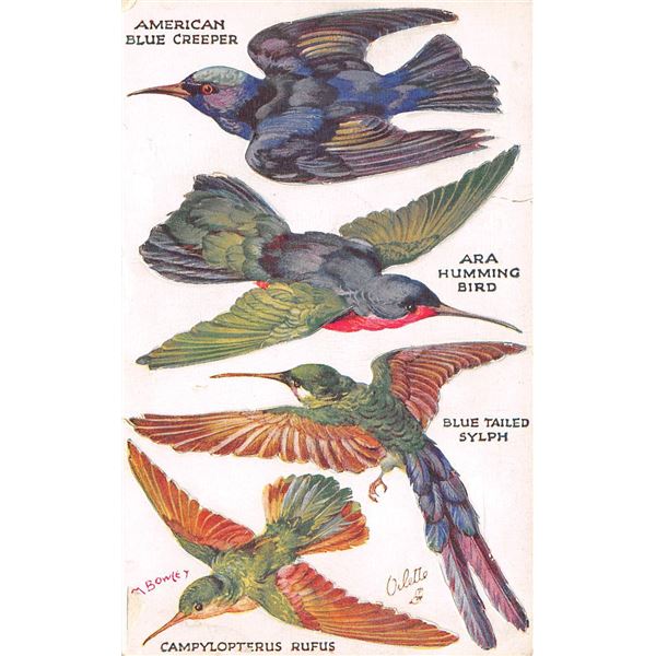 Group of 4 Novelty Pop Out "Birds on the Wing" Tuck Oilette Postcards