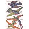 Image 1 : Group of 4 Novelty Pop Out "Birds on the Wing" Tuck Oilette Postcards