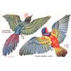 Image 2 : Group of 4 Novelty Pop Out "Birds on the Wing" Tuck Oilette Postcards