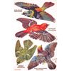 Image 3 : Group of 4 Novelty Pop Out "Birds on the Wing" Tuck Oilette Postcards