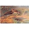 Image 3 : Set of 6 "Game Birds" Series II Tuck Oilette Animal Postcards