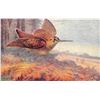 Image 2 : Set of 6 "Game Birds" Series I Tuck Oilette Animal Postcards