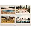 Image 2 : 23 Detroit Publishing Yellowstone & Yosemite National Park Postcards