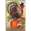 Image 2 : 11 Tuck Thanksgiving Turkey Holiday Greeting Postcards