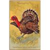 Image 8 : 11 Tuck Thanksgiving Turkey Holiday Greeting Postcards