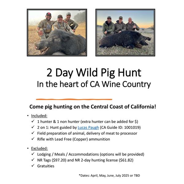 Two-day California Hog Hunt