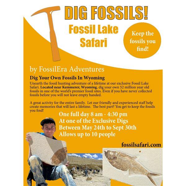 Fossil Safari