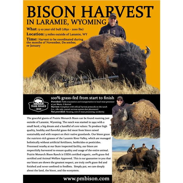 Bison Harvest