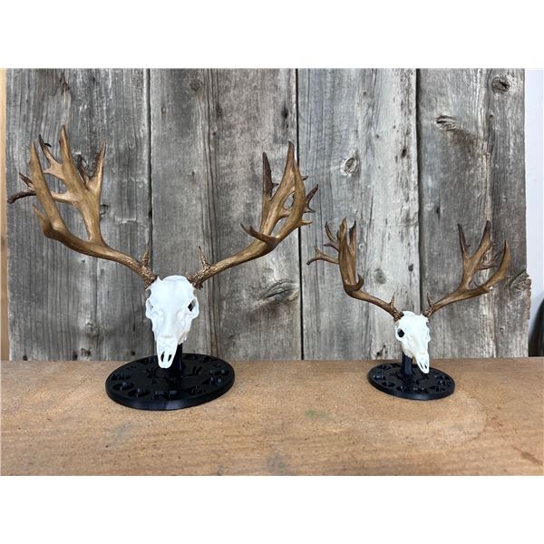 "BIG BOY" BABY BOONER SET