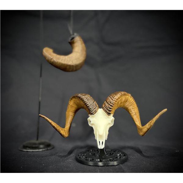 BIGHORN BABY BOONER SET