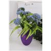 Image 2 : Purple Glass Flower Vase w/Faux Blue Flowers, Faux Plant w/Pot, & Dry Erase Calendar