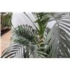 Image 2 : * Artificial Bamboo Plant - 72" Tall