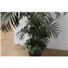 Image 3 : * Artificial Bamboo Plant - 72" Tall
