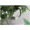 Image 3 : Artificial Vine Plant 3' Across Approx - Cracked Holder
