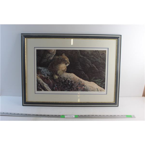 Framed Solitude 343/1495 Print by Clint Jammer 29'' x 21'' Comes with a Certificate of an Authentici