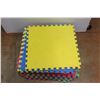Image 2 : *(17) Fitness Exercise  or Kid's Play Mats
