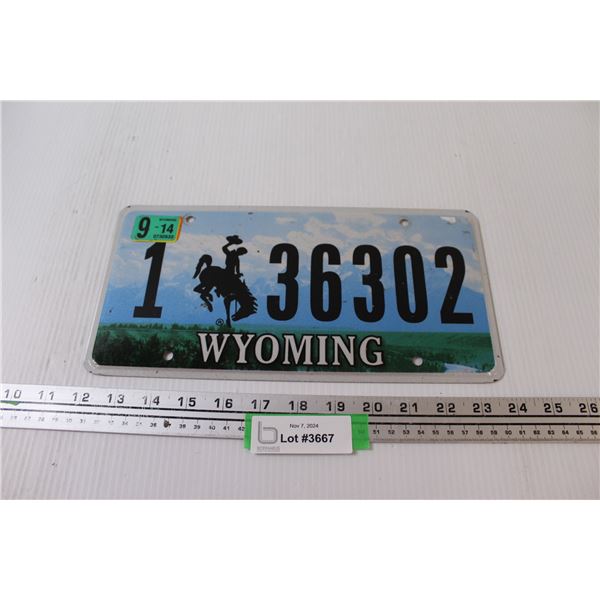 Ducks Unlimited Wyoming License Plate
