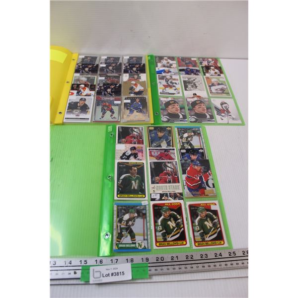 Jay Bowmiester & Brian Bellows & Artemi Panarin Hockey Trading Cards in Folders