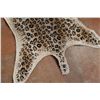 Image 2 : Animal print Rug