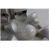 Image 5 : (14) Light Bulbs - Tested