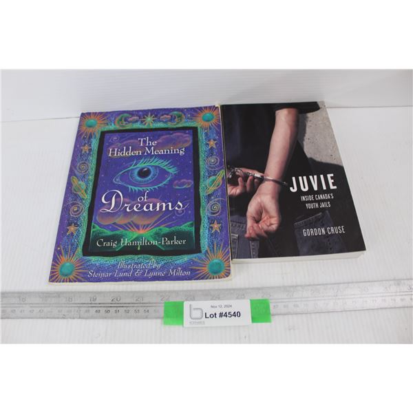 (2) Books, The Hidden Meaning Of Dreams Book, Juvie Inside Canadas Youth Jails