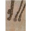 Image 7 : Chain with Hooks 16' and a Plastic Crate
