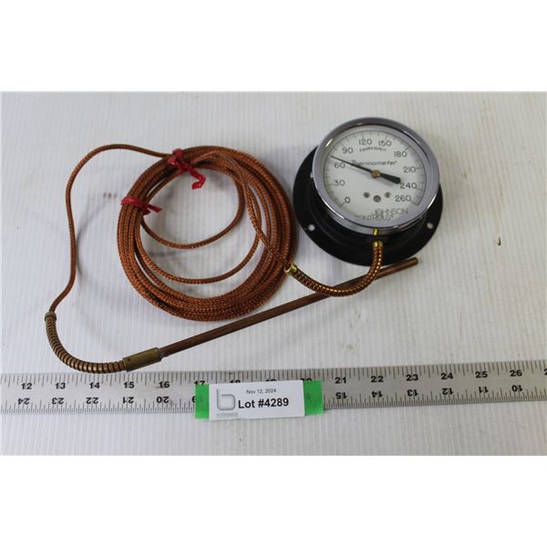 Johnson Controls Thermometer