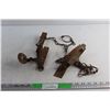 Image 1 : (2) Animal Traps